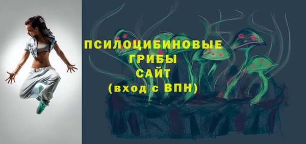бошки Нестеровская