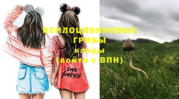 прущая мука Калининец