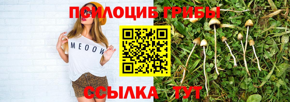 Псилоцибиновые грибы прущие грибы Арзамас