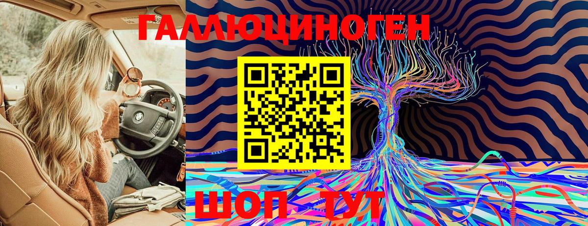 Галлюциногенные грибы Psilocybine cubensis  Вход с VPN  Арзамас 